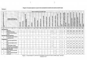 Специальная оценка условий труда МБУК ЯТДМ_page-0003